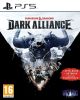 Dungeons & Dragons Dark Alliance Special Edition (PS5)